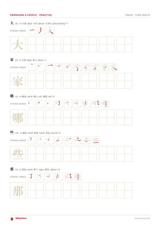 Workbook practice page showing stroke order and 田字格 tracing grids for the characters 大, 家, 哪, 些 and 那